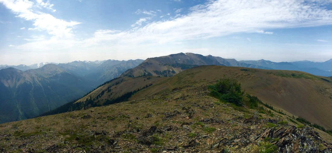 Trail Running in Olympic National Park: An Insider’s Guide