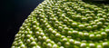Close-up of Superfeet's SuperRev Max foam. 