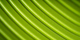 SuperRev&trade; – 4.5mm thick