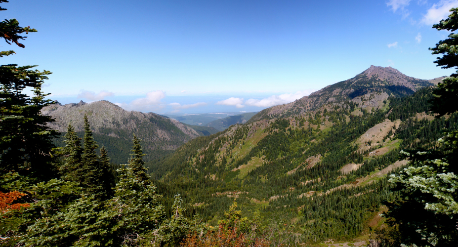 5 Rarely-Traveled Day Hikes in Olympic National Park