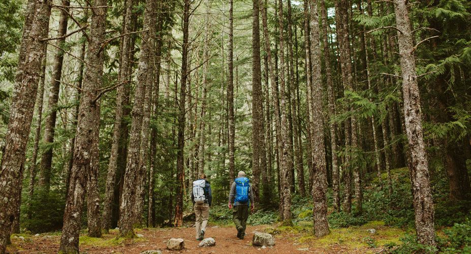 Hiking insoles: benefits & differences between ADAPT Hike and TRAILBLAZER