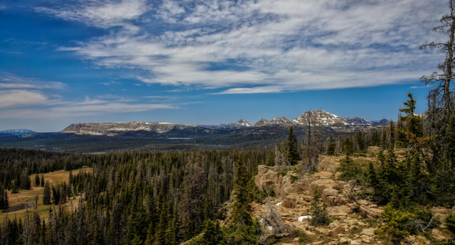 Uinta Day Hikes to Check Off Your List This Summer