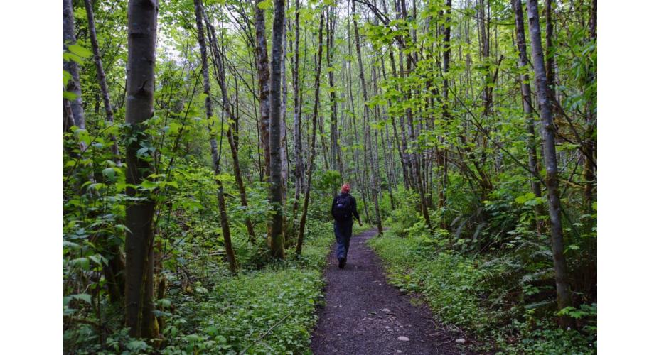 A Quick and Dirty Guide to Some of the Best Seattle Trail Running