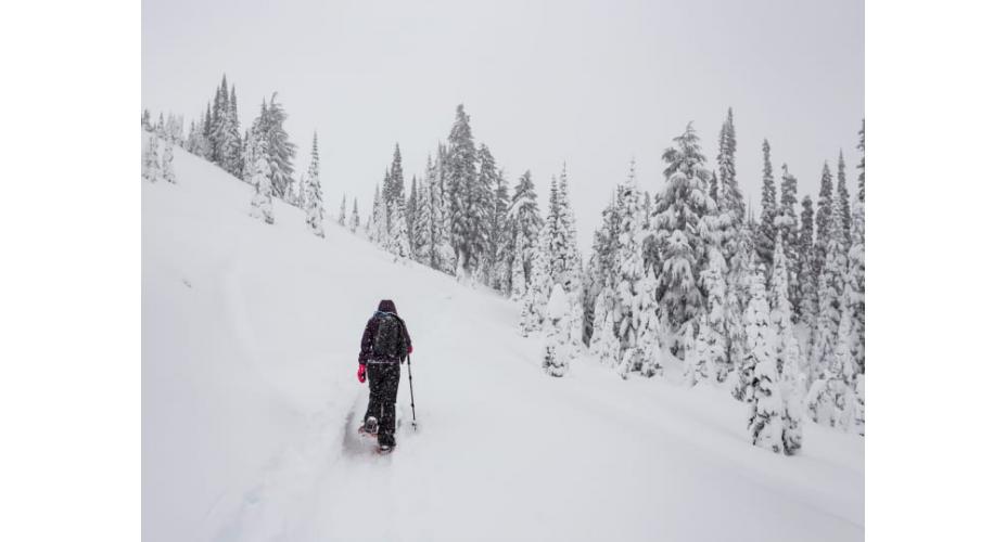 A Tour of the Snowiest Places in America 