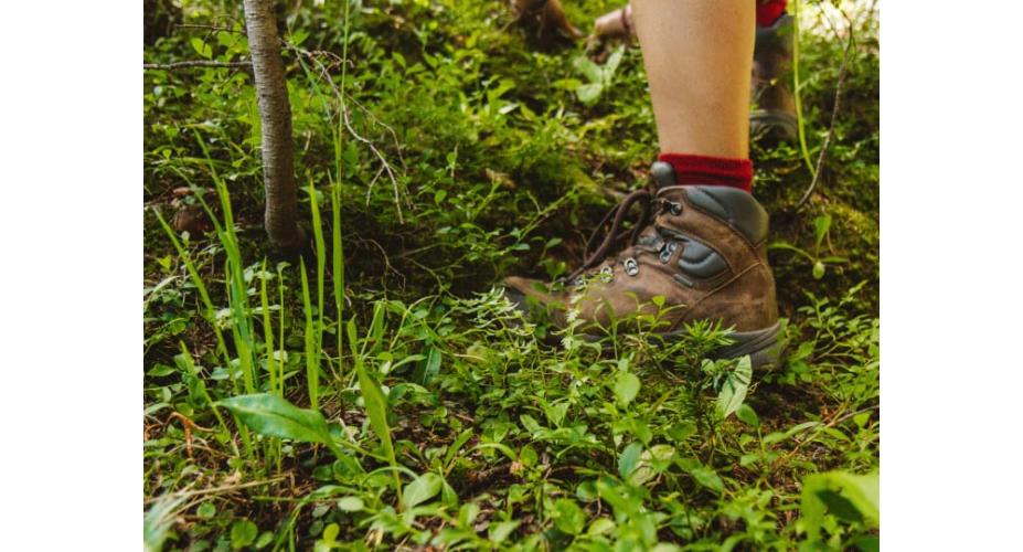 Tips for Hikers on Preventing and Treating Blisters