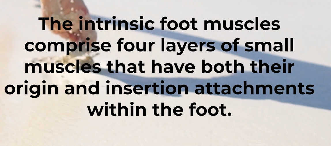 Runner on a beach with graphic text overlay that says "The intrinsic foot muscles comprise four layers of small muscles that have both their origin and insertion attachments within the foot."