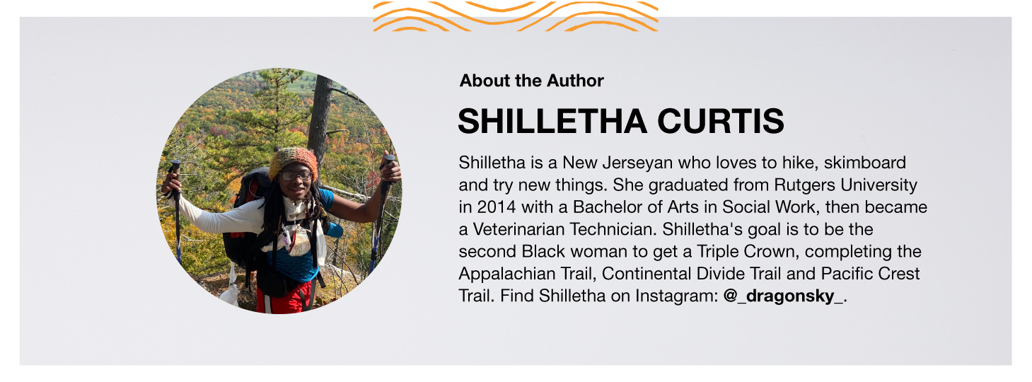 About the Author: Shilleta Curtis