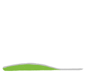 Illustration of a skeletal foot with arch support to reduce strain on the plantar fasci