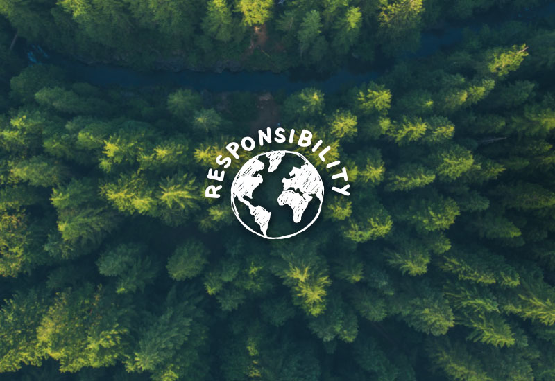 Top down overhead view of pine forest with Earth illustration circled by responsibility text